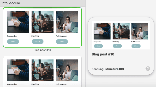 Previewing Modules_DE Previewing Modules_DE