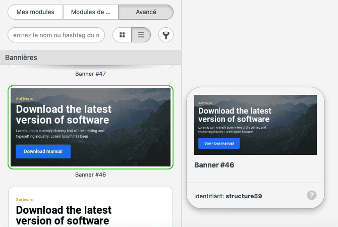 Previewing Email Modules_FR