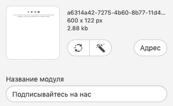 Giving Names to Modules When Saving Them_RU