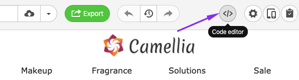 Entering-Code-Editor Entering-Code-Editor