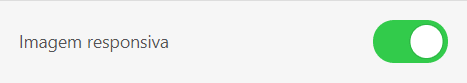 Imagem responsiva_opção ativada Imagem responsiva_opção ativada