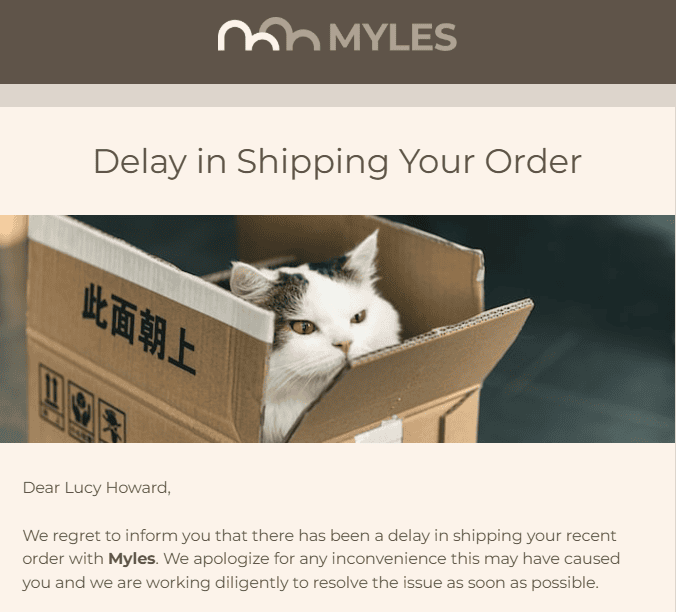 Ein Beispiel für die E-Mail mit den Versandinformationen Ein Beispiel für die E-Mail mit den Versandinformationen