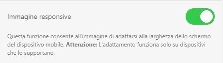Immagine responsive
