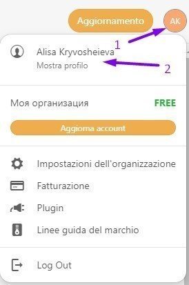 Icone dei social media Stripo