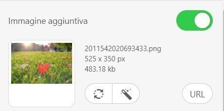 Immagine aggiuntiva es