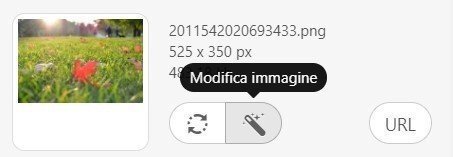 Modifica immagine es