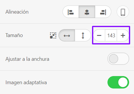 Configuraci&oacute;n de encabezado Tama&ntilde;o del logotipo _ Stripo