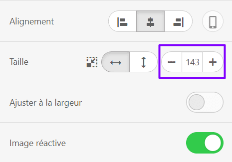 R&eacute;glage de l'en-t&ecirc;te Taille du logo _ Stripo