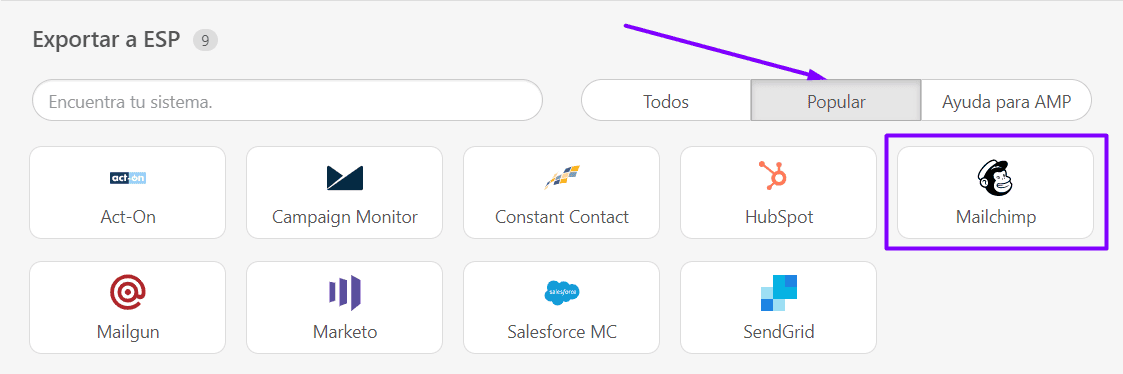 Opción de exportación de Mailchimp Opción de exportación de Mailchimp