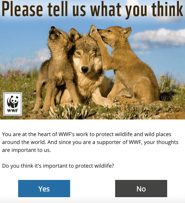 Email Marketing With Data Collection_Getting to Know Users' Interests