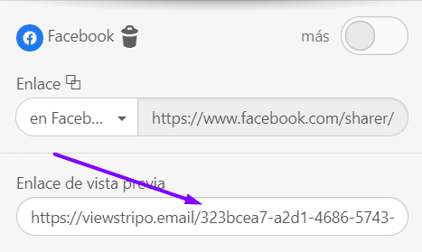 Habilitar el intercambio social en correos electr&oacute;nicos_Stripo