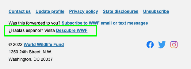 An email with an option to change a language An email with an option to change a language