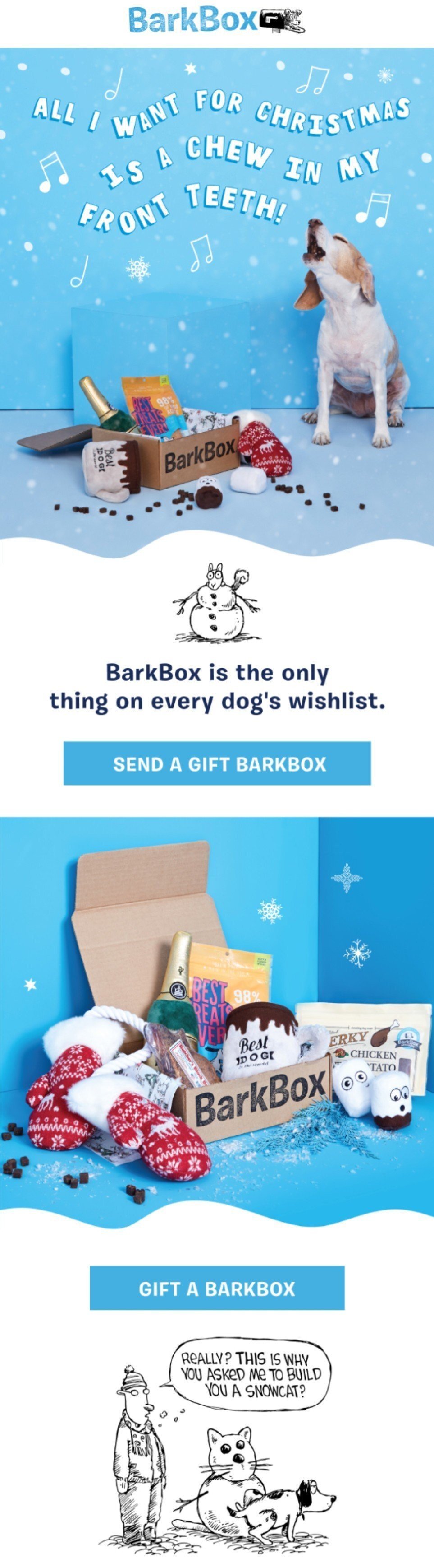 Подарки для владельцев домашних животных на праздники Подарки для владельцев домашних животных на праздники