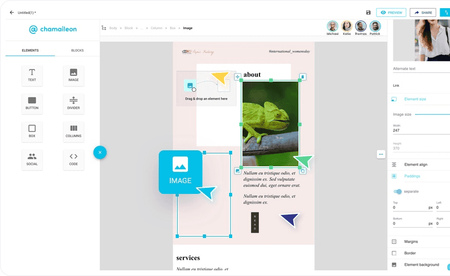 Chamaileon plugin Chamaileon plugin