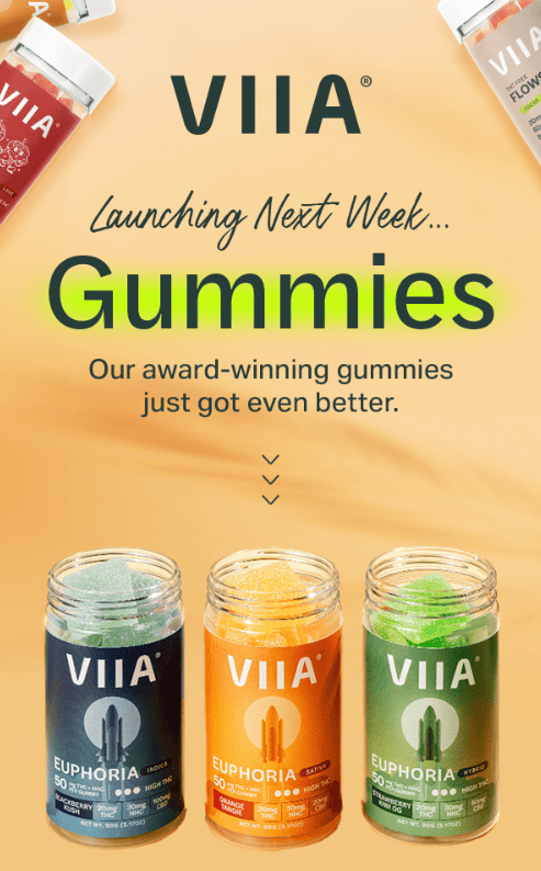 Email di lancio del prodotto da VIIA