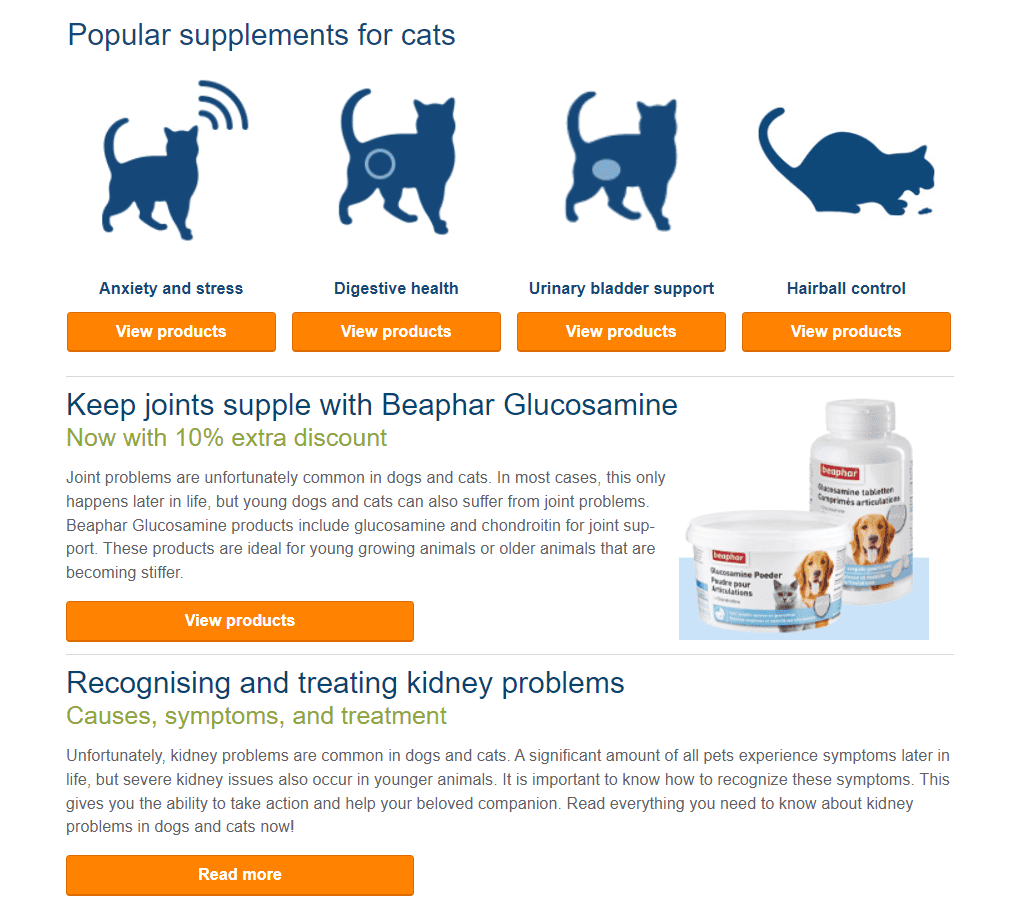 Promote your products on International Cat Day Promote your products on International Cat Day