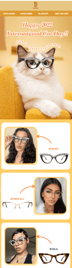 Cat email idea for eCommerce Cat email idea for eCommerce