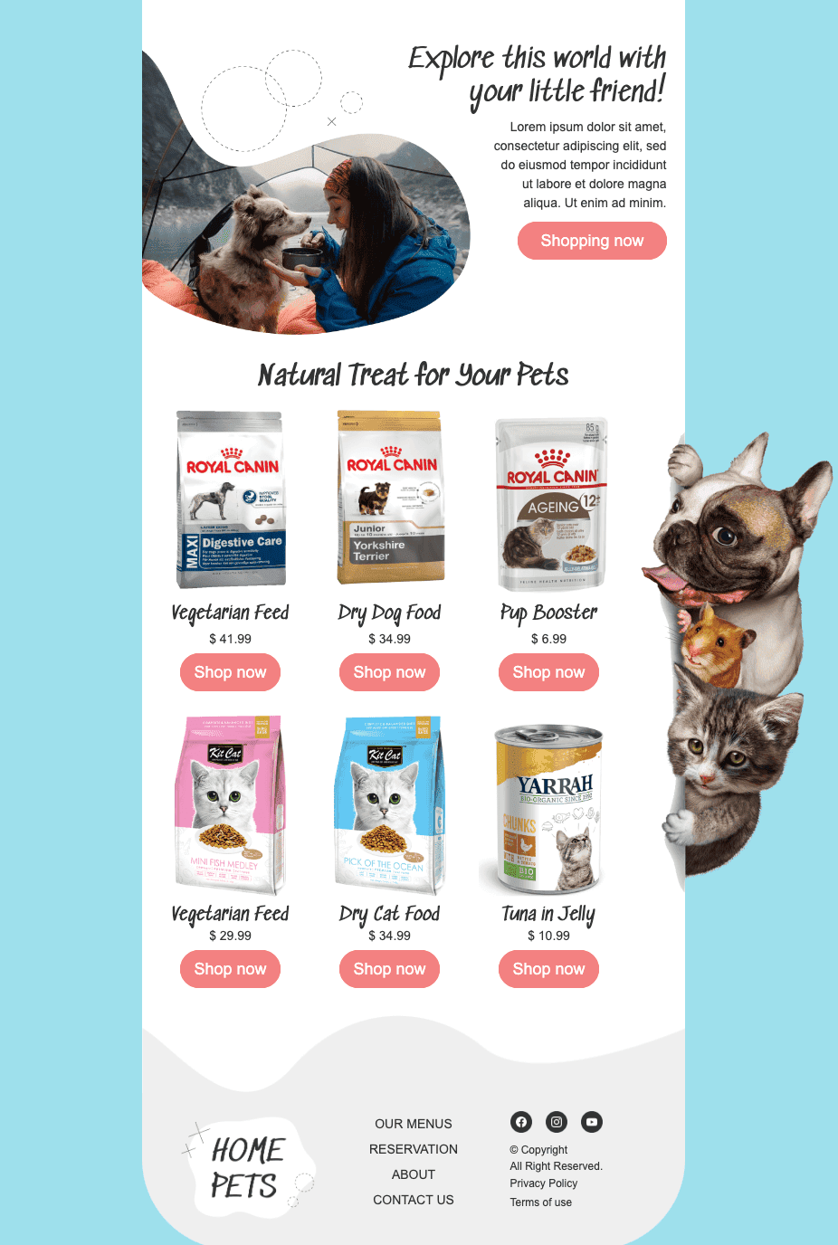 Email example for cat owner on animal welfare to celebrate pets Email example for cat owner on animal welfare to celebrate pets