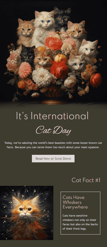 Email template example to celebrate cats Email template example to celebrate cats