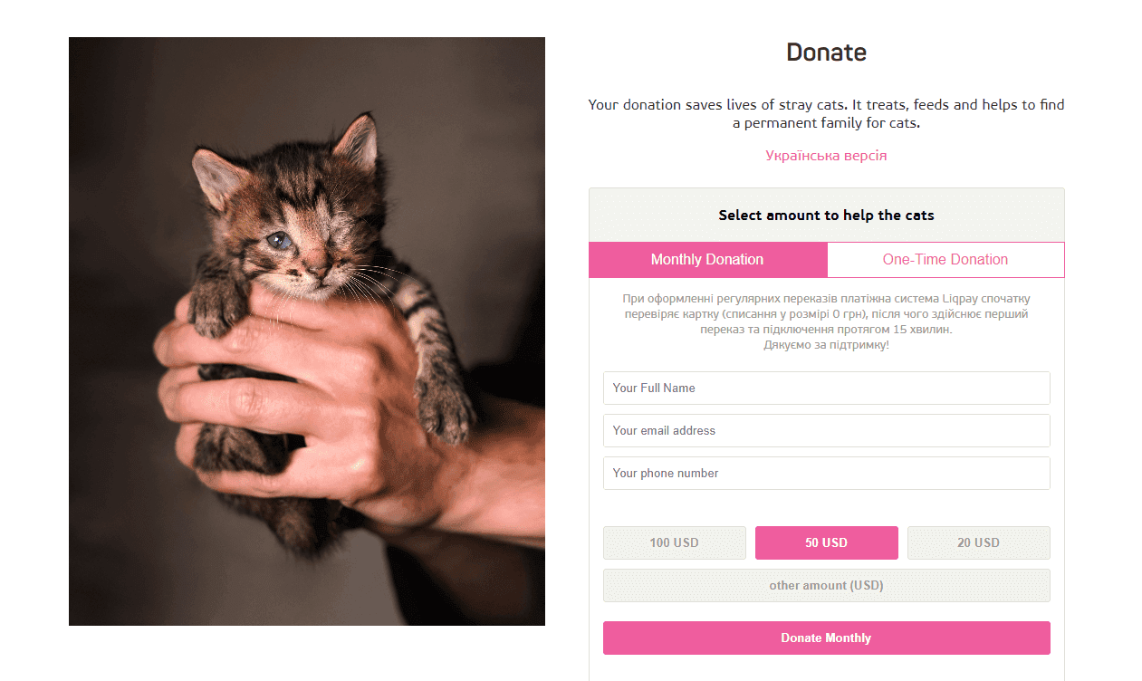 Donate to animal welfare to help our furry friends Donate to animal welfare to help our furry friends
