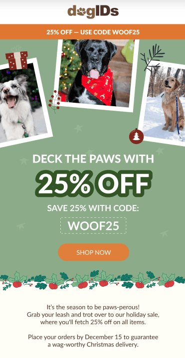 Promo email example with discount Promo email example with discount