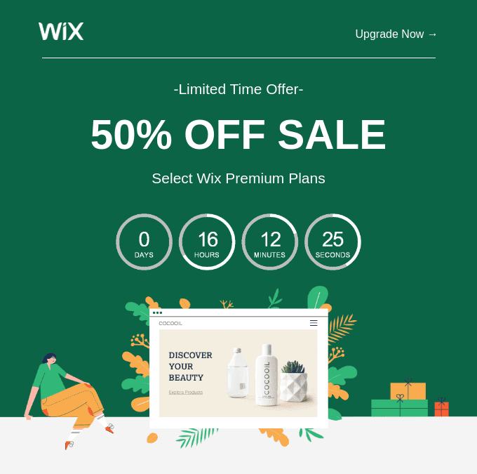 Esempio di conto alla rovescia nell'e-mail _ Wix Esempio di conto alla rovescia nell'e-mail _ Wix