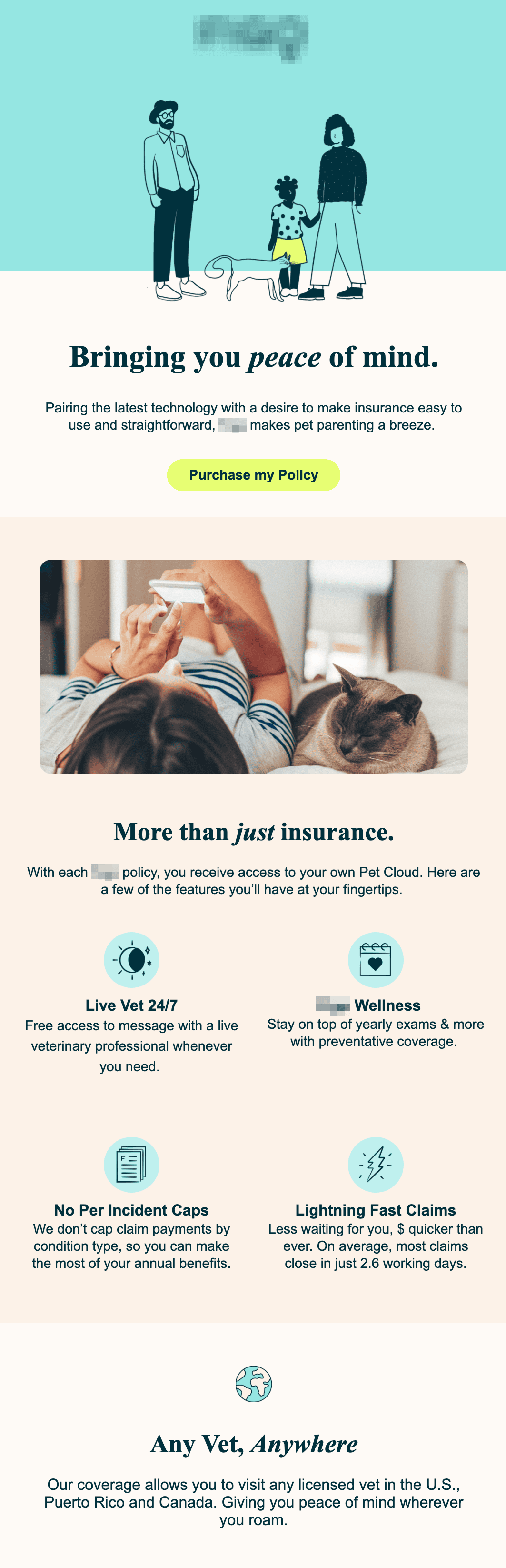 Email example for the pet insurance industry
