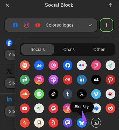 Social media icon _ BlueSky