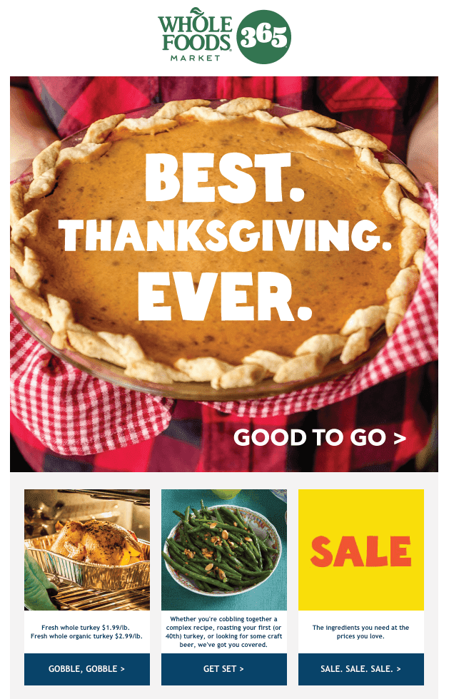 Promotional Emails Example for Thanksgiving Promotional Emails Example for Thanksgiving