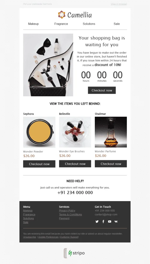 485-Stripo-Cosmetics-Trigger-newsletter-Abandoned-Cart-Time-to-Buy-email-web