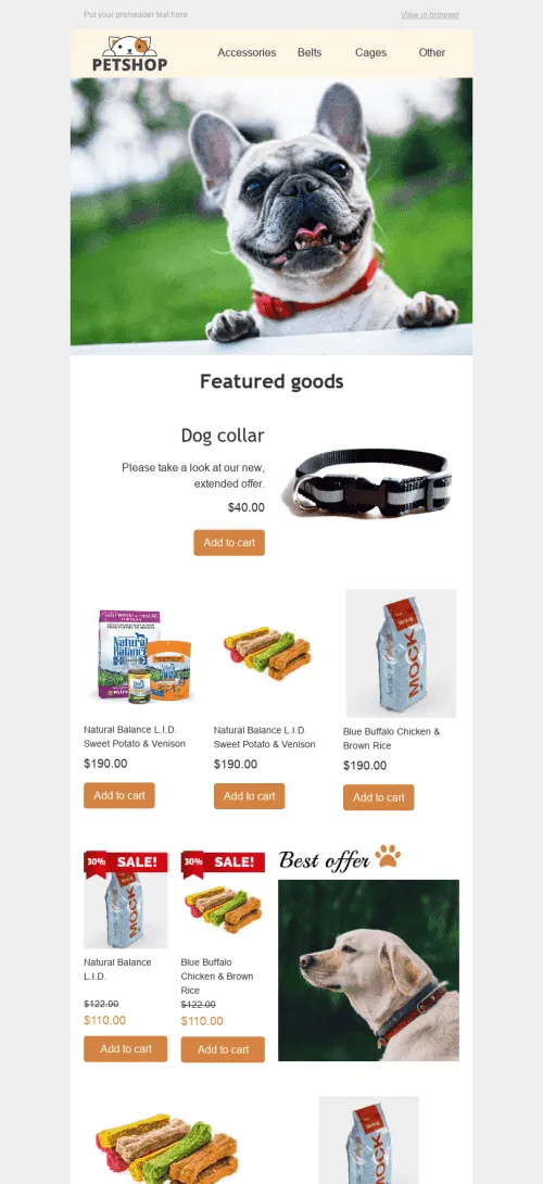 528-Stripo-Pets-Promo-newsletter-email-web