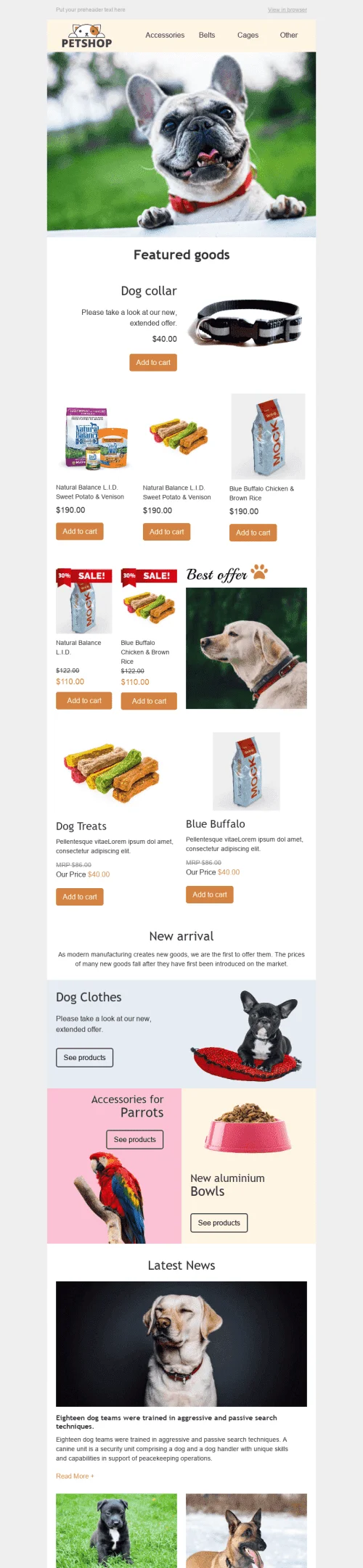 528-Stripo-Pets-Promo-newsletter-email-web