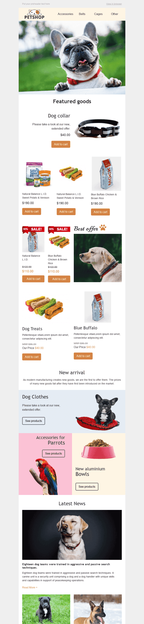 Promo Email Template "Best Friends" for Pets industry mobile view
