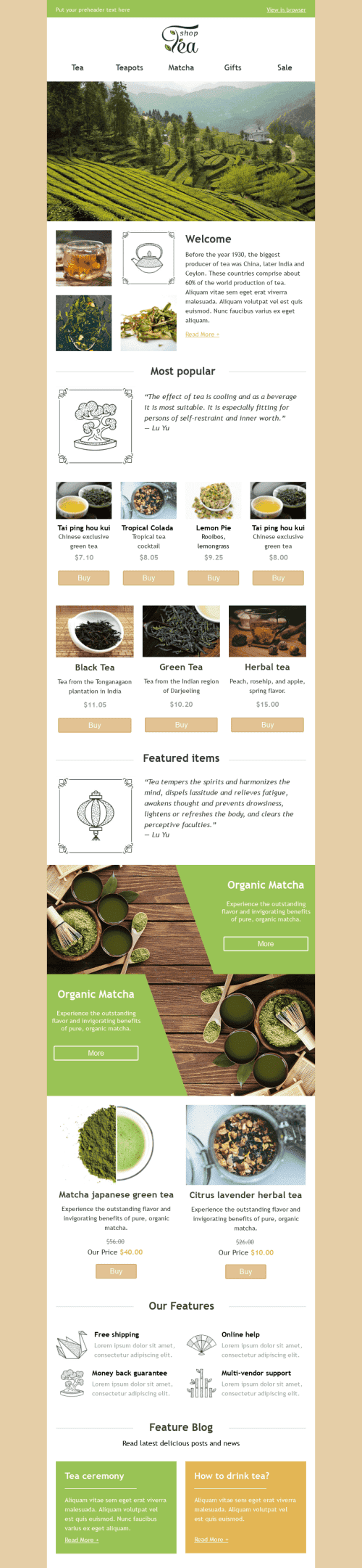 Promo Email Template "Tea Shop" for Beverages industry mobile view