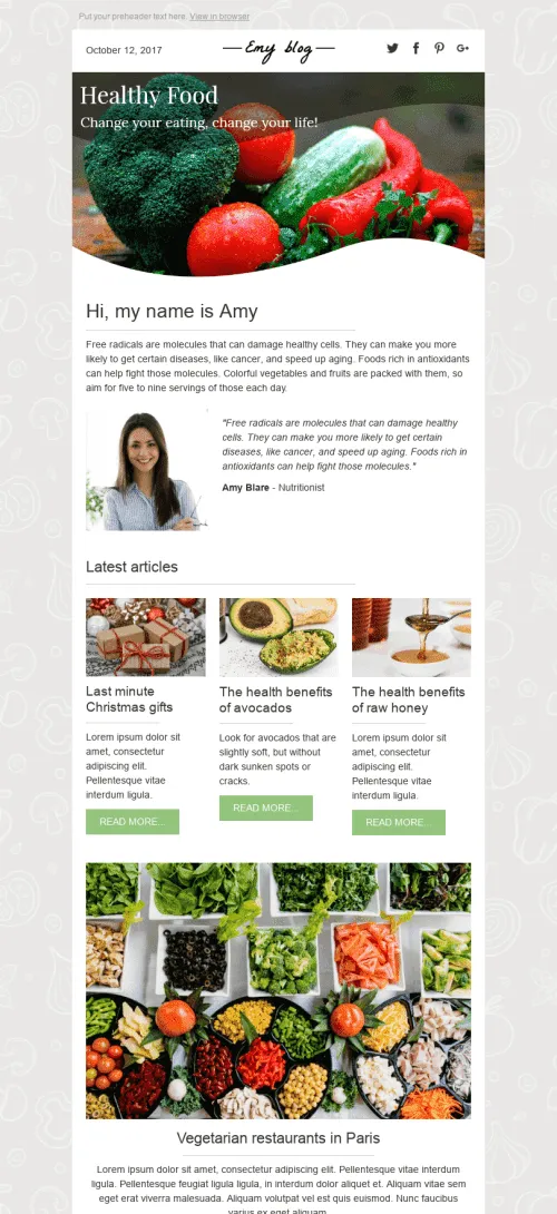997-Stripo-Publications-Blog-Promo-newsletter-Healthy-Foods-email-web