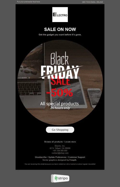 1017-Stripo-Gadgets-Holiday-newsletter-Black-Friday-email-web