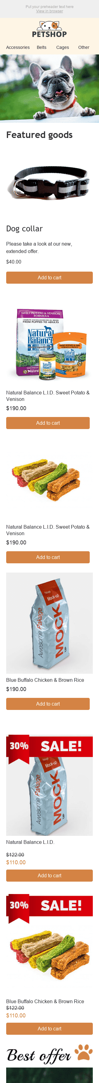 Промо шаблон письма "Лучшие друзья" для индустрии "Животные" мобильный вид