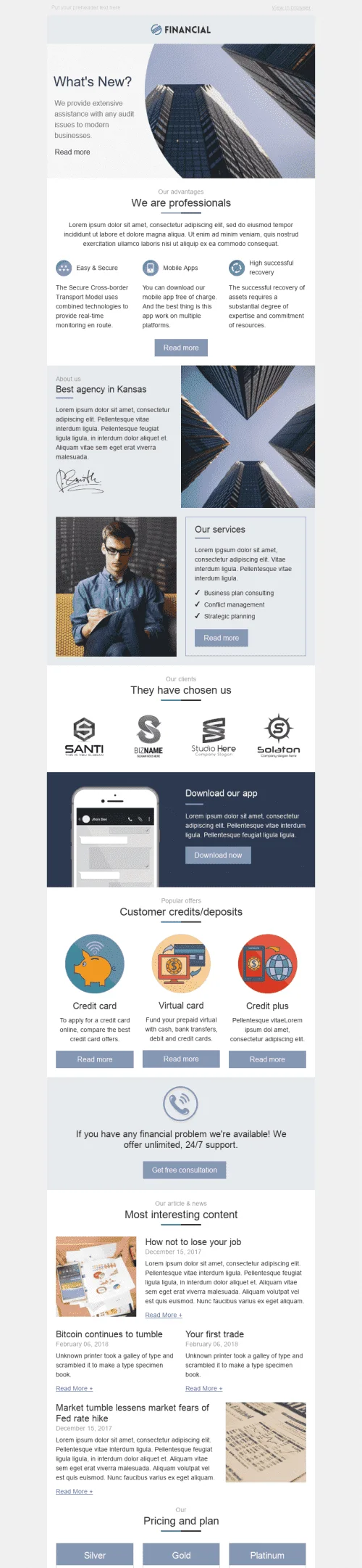 Promo Email Template "We Are Professionals" for Finance industry