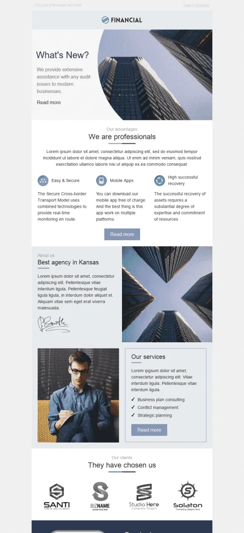 3504-Stripo-Finance-Promo-newsletter-We-Are-Professionals-email-web