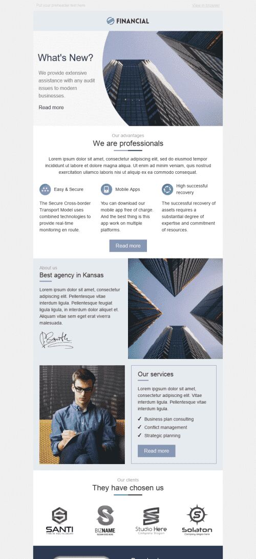 Promo Email Template "We Are Professionals" for Finance industry mobile view
