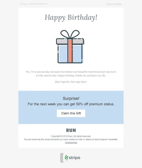 7045-Stripo-Software-Technology-Holiday-newsletter-Happy-Birthday-Surprise-email-web