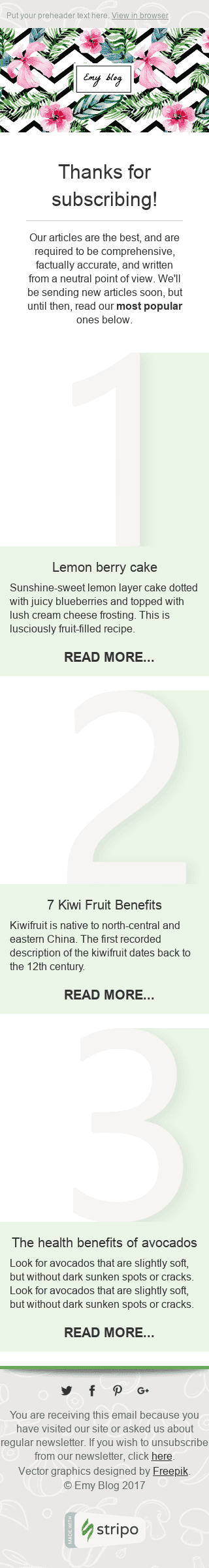 Thank You Email Template "Useful Articles" for Publications & Blogging industry mobile view