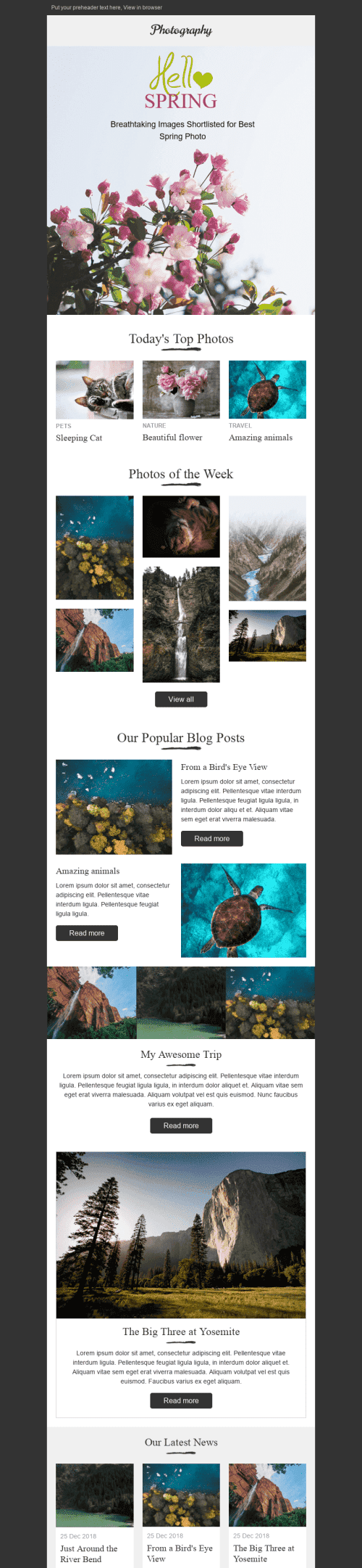 Promo Email Template "Amazing Nature" for Photography industrydesktop view