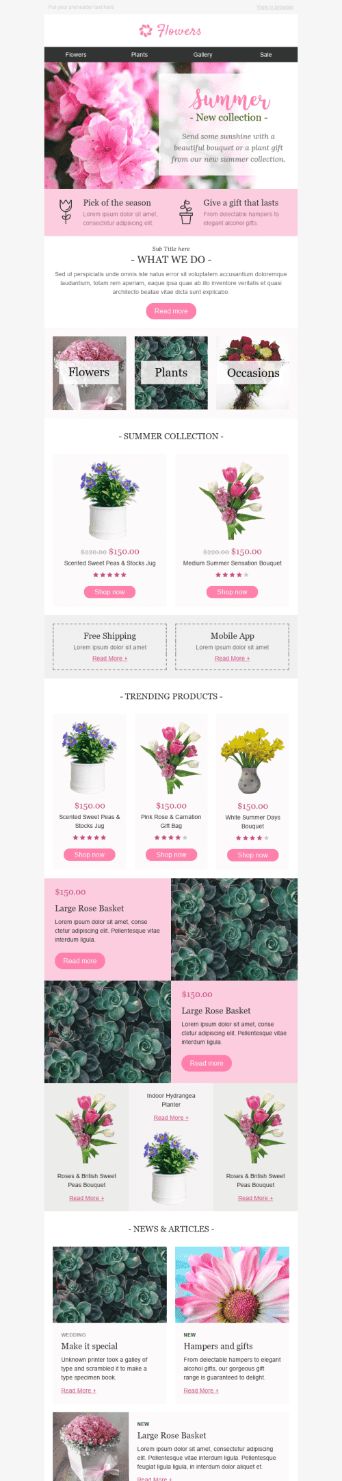 Promo Email Template "Special Occasion" for Gifts & Flowers industry desktop view