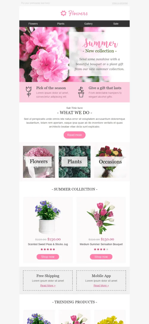 10760-Stripo-Gifts-Flowers-Promo-newsletter-Special-Occasions-email-web