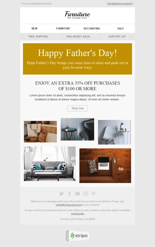13853-Stripo-Furniture-Home-Decor-Holiday-newsletter-Happy-Father’s-Day-Time-to-Relax-email-web