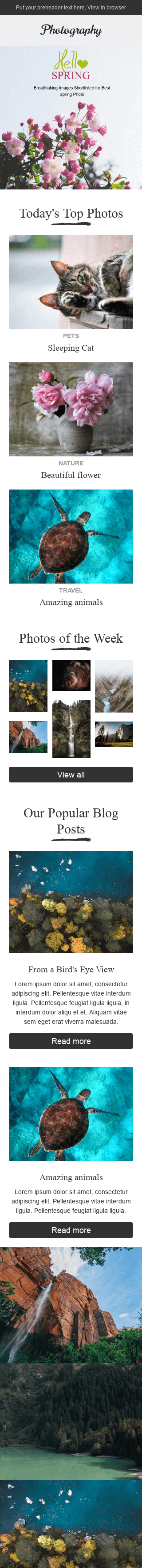 Werbung E-Mail-Vorlage "Herrliche Natur" für Fotografie-Branche Ansicht auf Mobilgeräten