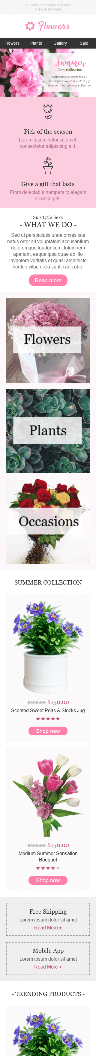Promo Email Template "Special Occasion" for Gifts & Flowers industry mobile view