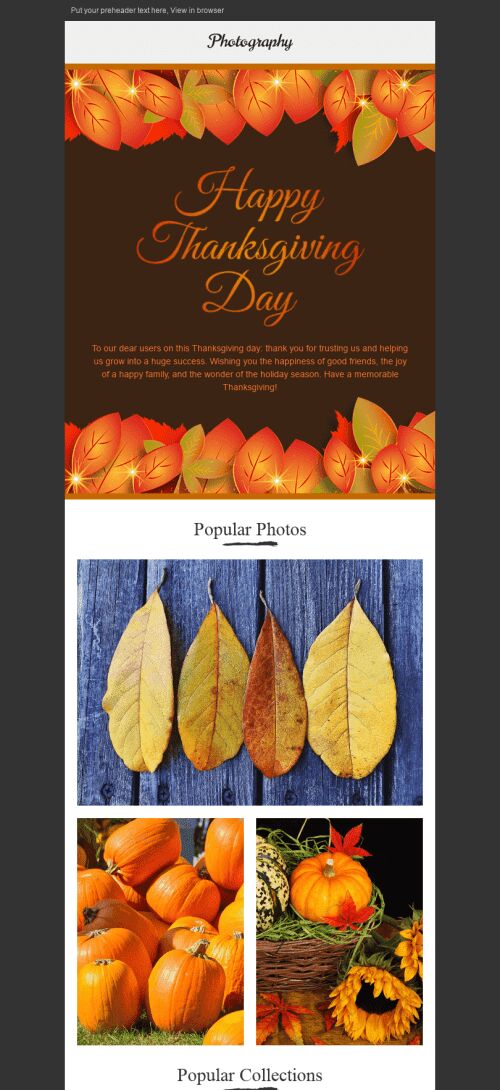 Thanksgiving Day Email Template "Golden Autumn" for Photography industry mobile view