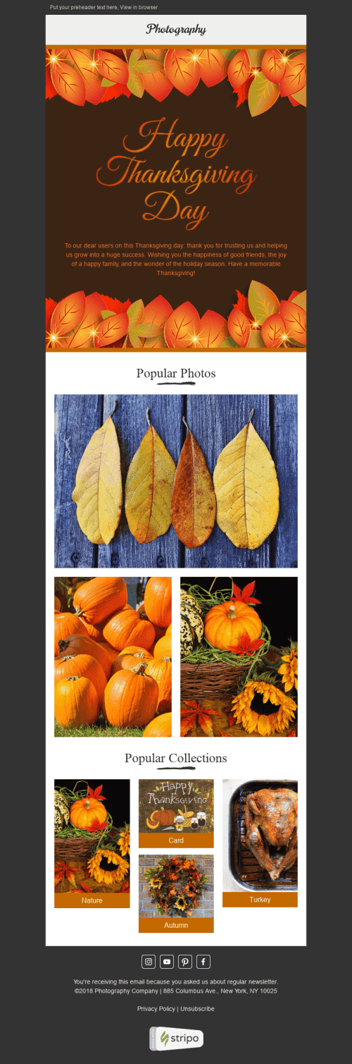 Thanksgiving Day Email Template "Golden Autumn" for Photography industry mobile view